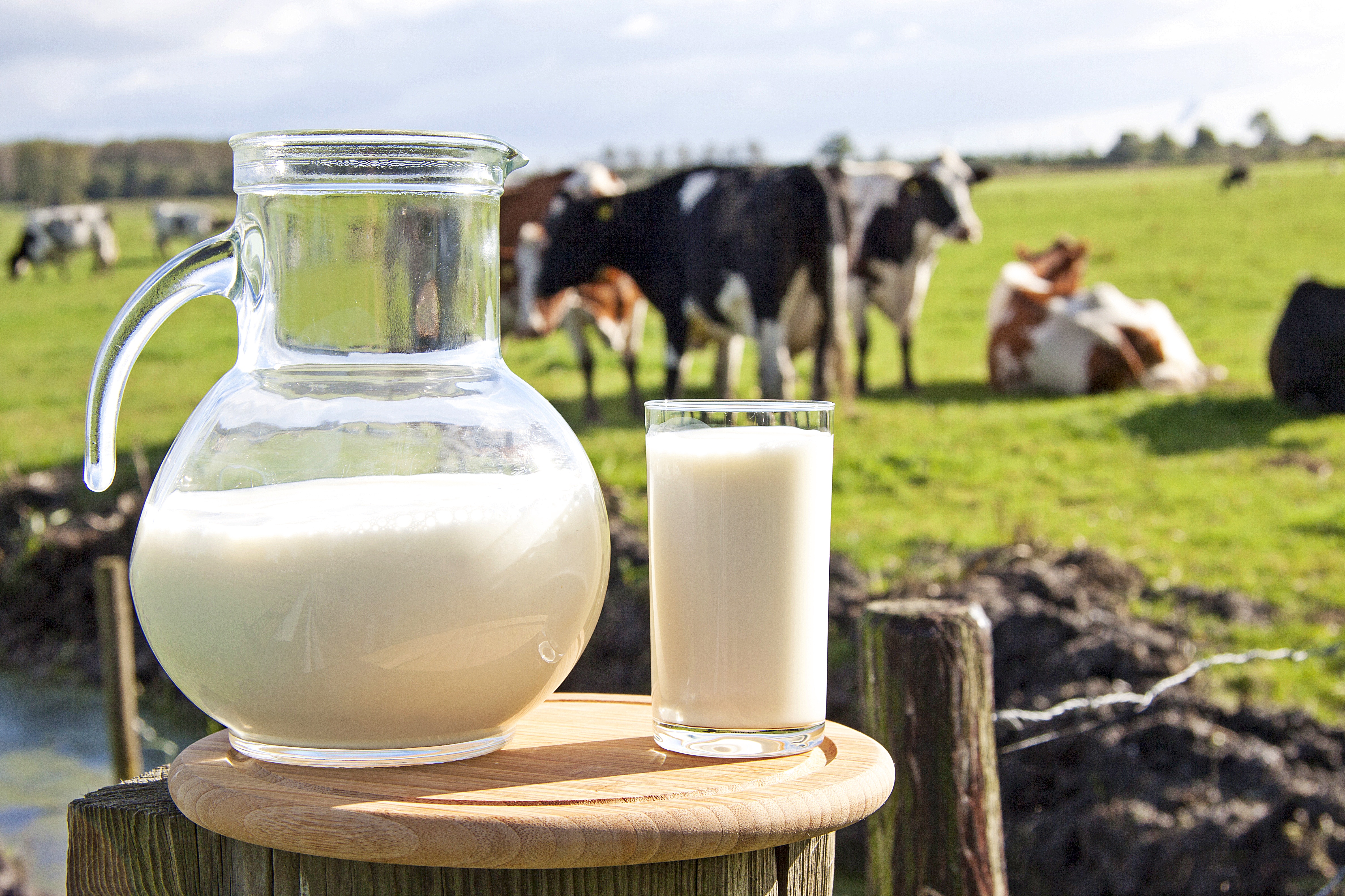 5 веских причин исключить молоко из своего рациона