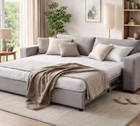 Kaip išsirinkti patogią sofą-lovą?