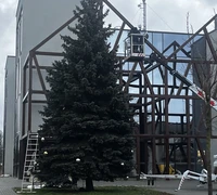 Kiek kainuos miesto eglutės papuošimas?