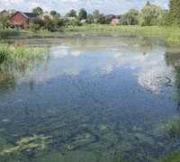 Pradedamas įgyvendinti projektas „Rewater“