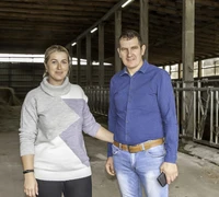 Embrionų implantavimo būdu veisia ūkio prieauglį
