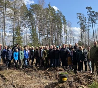 Kintų miške pasodinta beveik 4 tūkst. medelių