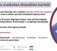 Atostogos prasideda: nepamirškite ir šio svarbaus dokumento