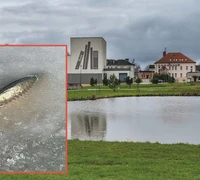 Pagėgių parke – nugaišusios žuvys: aplaidumas ar neišvengiama pasekmė?