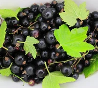 Žemė po kojomis – garantija rytdienai