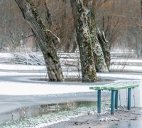 Ar modernios stotelės sugrąžins keleivius į autobusus?