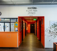 Kultūros finansavimas regione: tarp nusivylimo ir pavojingų pareiškimų