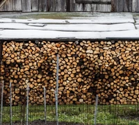 Pigiau įsigyti malkinės medienos - tiesiai iš girininkijų 