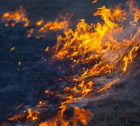 Žolės deginimas daro žalą gamtai ir gali būti pavojingas žmonėms