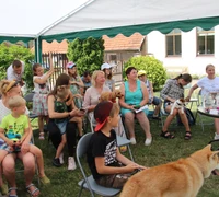 Įsigijus šunį – gamta tampa artimesnė