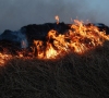 Žolės deginimas: žala gamtai, žmonėms ir jų turtui