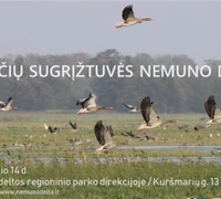 Paukščių sugrįžtuvės Nemuno deltoje