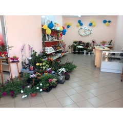 Gėlių salone „Kornemija“ – ryškiaspalvės gėlės, išskirtinės dovanėlės ir puikus aptaravimas.