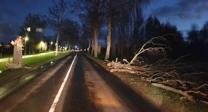  Šilutėje audra padirbėjo iš peties: virto medžiai,  trūko elektros laidai