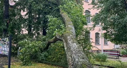 Pamarys po audros: stichijos smūgis buvo negailestingas