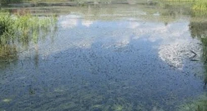 Pradedamas įgyvendinti projektas „Rewater“