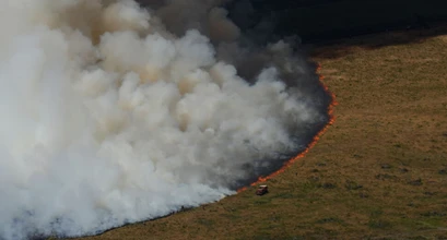 Miškų gaisrų situacijai sparčiai blogėjant, Lietuva dar kartą siūlo pagalbą Prancūzijai