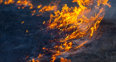 Žolės deginimas daro žalą gamtai ir gali būti pavojingas žmonėms