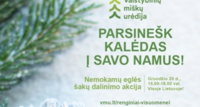 Miškininkai kviečia parsinešti Kalėdas į savo namus – gruodžio 20 d. visoje Lietuvoje vyks nemokamų eglės ša